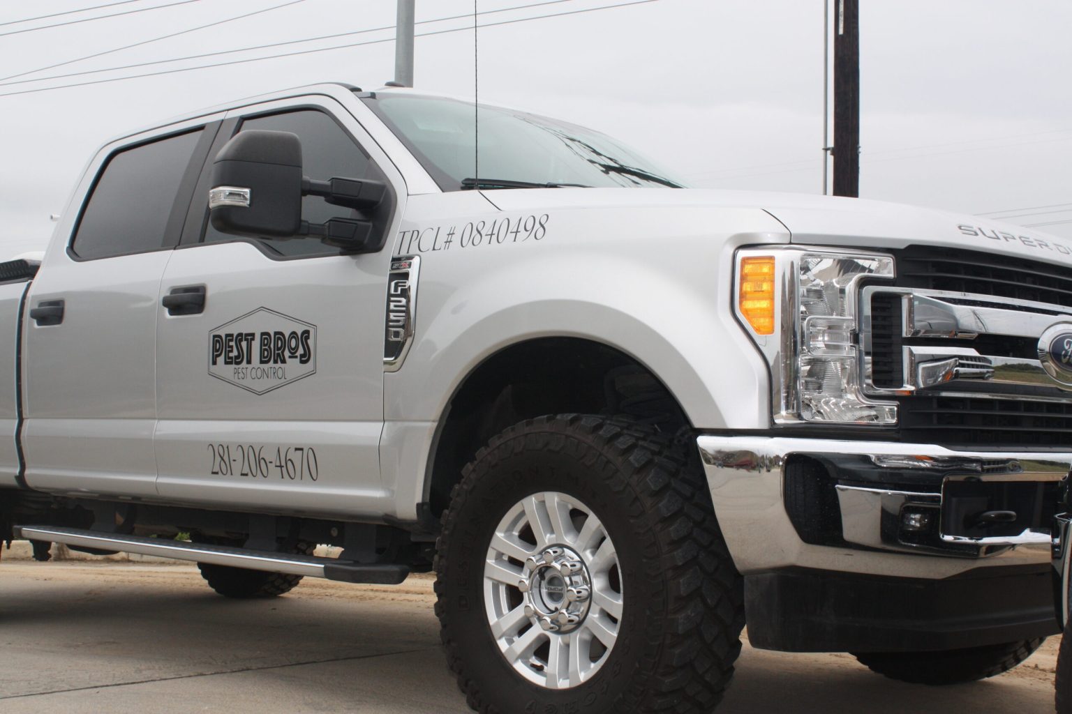 Do Mattress Protectors Prevent Bed Bugs