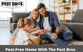 Pest-Free Home With The Pest Bros