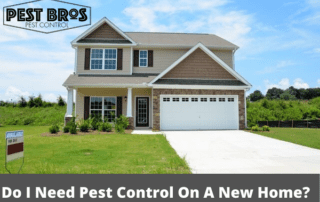 Do I Need Pest Control On A New Home