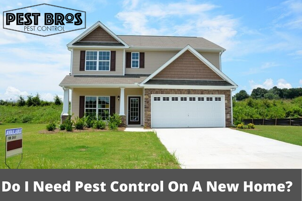 Do I Need Pest Control On A New Home