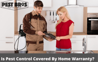 Is Pest Control Covered By Home Warranty-1