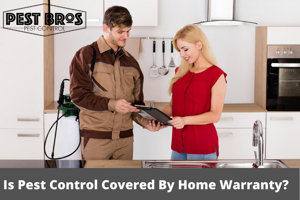 Is Pest Control Covered By Home Warranty