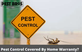 Is Pest Control Covered By Home Warranty