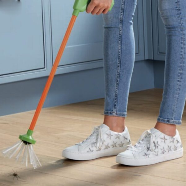 5 Best Ways to Remove Spiders Pest Bros Pest Control