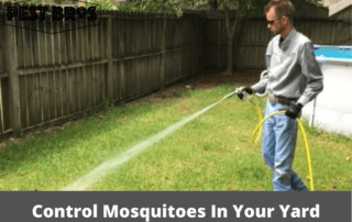 How To Control Mosquitoes In Your Yard