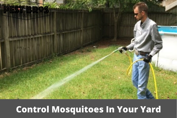 How To Control Mosquitoes In Your Yard