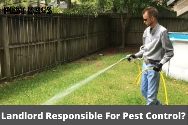 Is A Landlord Responsible For Pest Control
