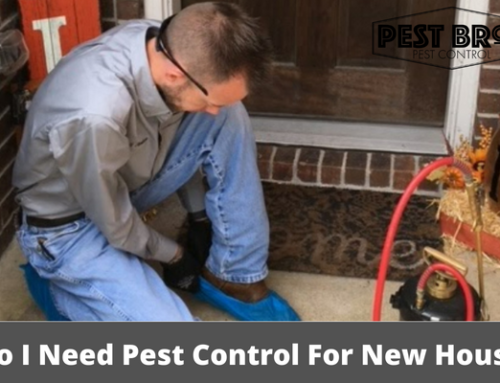 Do I Need Pest Control For New House
