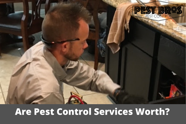 Are Pest Control Services Worth the Money