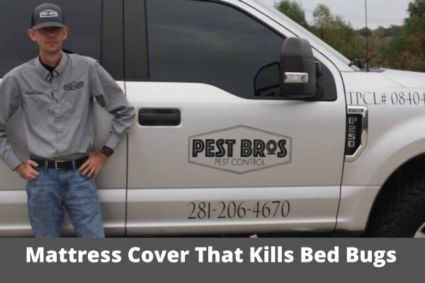 Is There a Mattress Cover That Kills Bed Bugs
