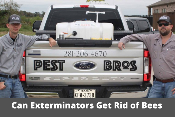 Can Exterminators Get Rid of Bees