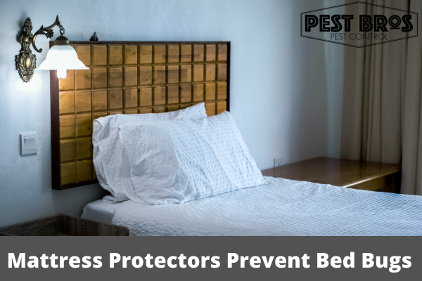 Do Mattress Protectors Prevent Bed Bugs