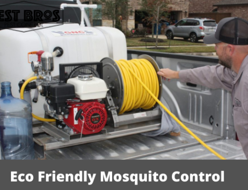 Eco Friendly Mosquito Control